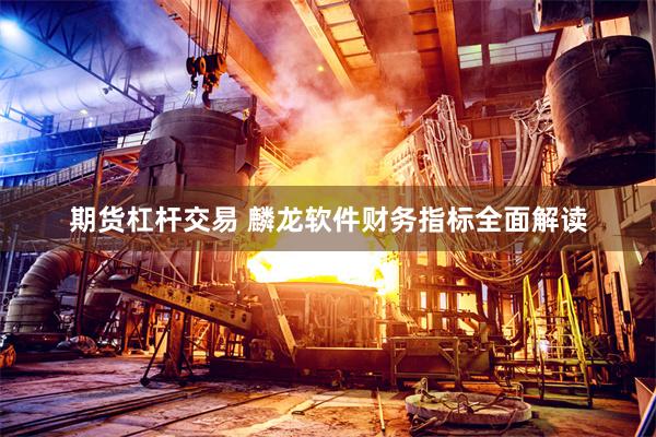 期货杠杆交易 麟龙软件财务指标全面解读