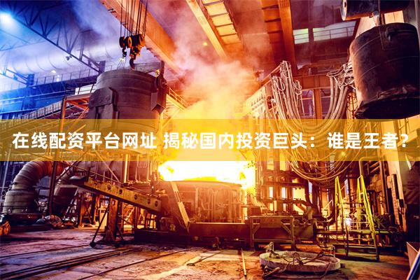 在线配资平台网址 揭秘国内投资巨头：谁是王者？