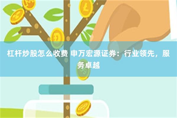杠杆炒股怎么收费 申万宏源证券：行业领先，服务卓越