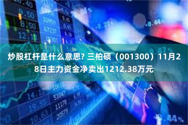 炒股杠杆是什么意思? 三柏硕（001300）11月28日主力资金净卖出1212.38万元