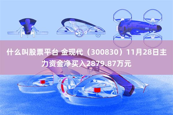 什么叫股票平台 金现代（300830）11月28日主力资金净买入2879.87万元