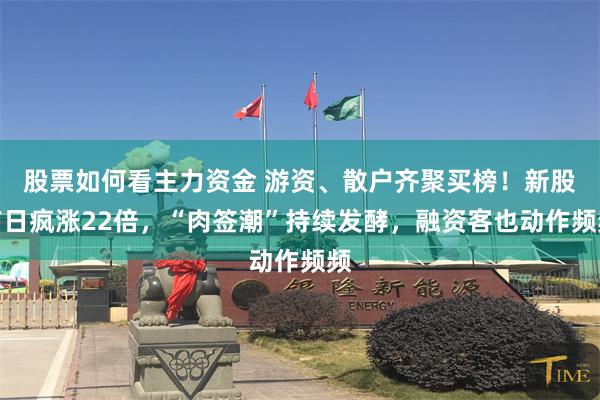 股票如何看主力资金 游资、散户齐聚买榜！新股首日疯涨22倍，“肉签潮”持续发酵，融资客也动作频频