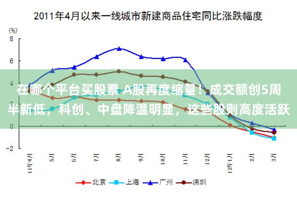 在哪个平台买股票 A股再度缩量！成交额创5周半新低，科创、中盘降温明显，这些股则高度活跃