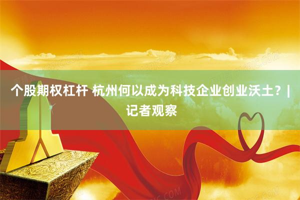 个股期权杠杆 杭州何以成为科技企业创业沃土？| 记者观察