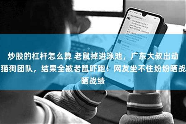 炒股的杠杆怎么算 老鼠掉进泳池，广东大叔出动鸡猫狗团队，结果全被老鼠吓跑！网友坐不住纷纷晒战绩
