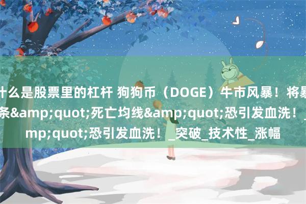 什么是股票里的杠杆 狗狗币（DOGE）牛市风暴！将暴力拉升50%，但这条&quot;死亡均线&quot;恐引发血洗！_突破_技术性_涨幅