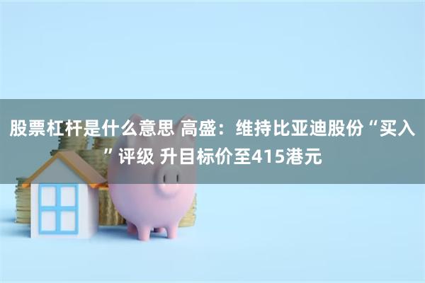 股票杠杆是什么意思 高盛：维持比亚迪股份“买入”评级 升目标价至415港元