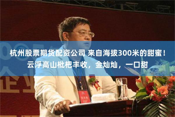 杭州股票期货配资公司 来自海拔300米的甜蜜！云浮高山枇杷丰收，金灿灿，一口甜