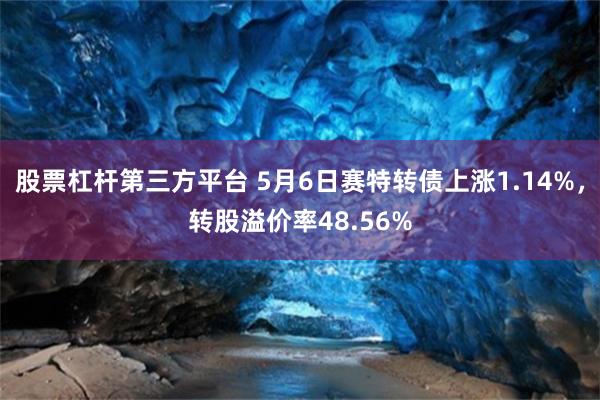 股票杠杆第三方平台 5月6日赛特转债上涨1.14%，转股溢价率48.56%