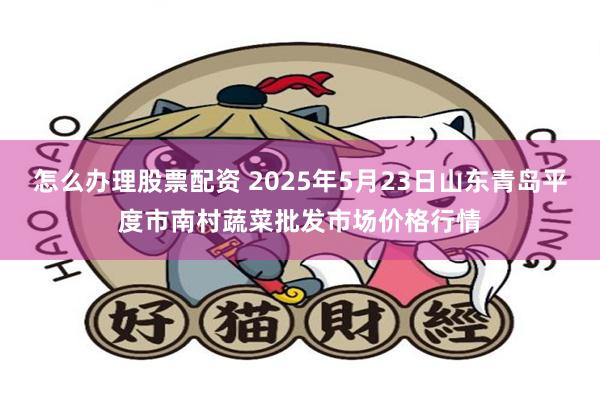 怎么办理股票配资 2025年5月23日山东青岛平度市南村蔬菜批发市场价格行情