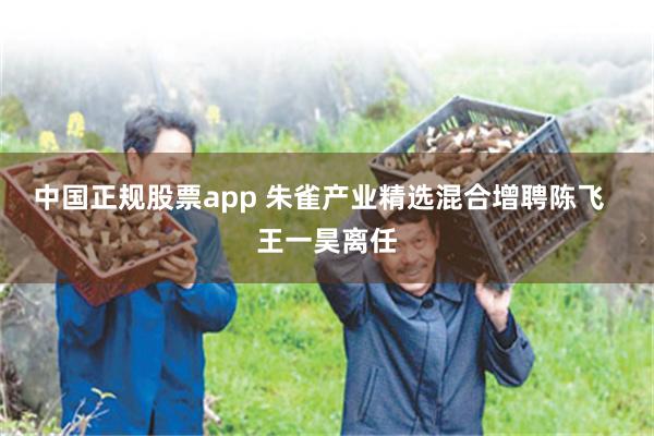 中国正规股票app 朱雀产业精选混合增聘陈飞  王一昊离任