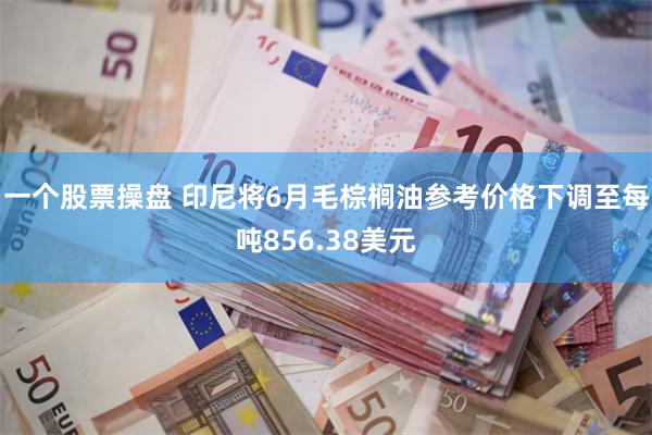 一个股票操盘 印尼将6月毛棕榈油参考价格下调至每吨856.38美元
