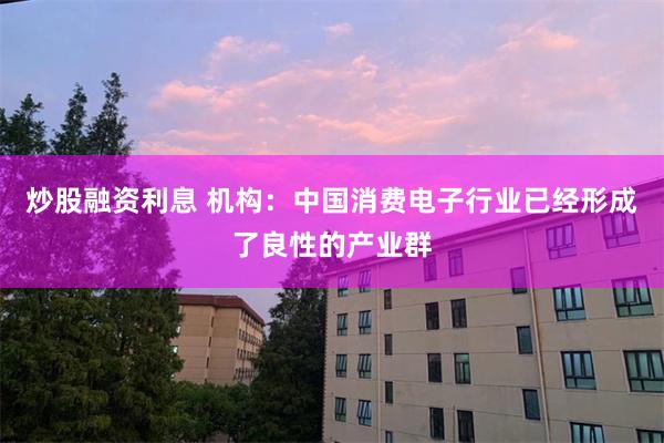 炒股融资利息 机构：中国消费电子行业已经形成了良性的产业群