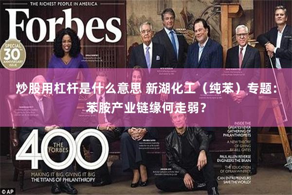 炒股用杠杆是什么意思 新湖化工（纯苯）专题：苯胺产业链缘何走弱？