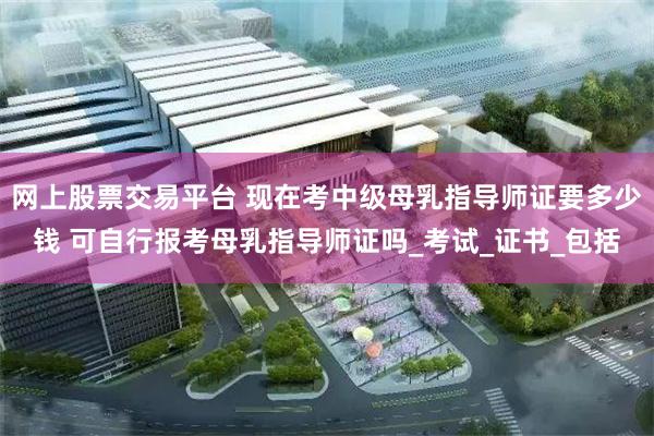 网上股票交易平台 现在考中级母乳指导师证要多少钱 可自行报考母乳指导师证吗_考试_证书_包括