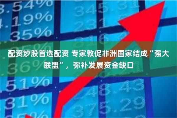 配资炒股首选配资 专家敦促非洲国家结成“强大联盟”，弥补发展资金缺口