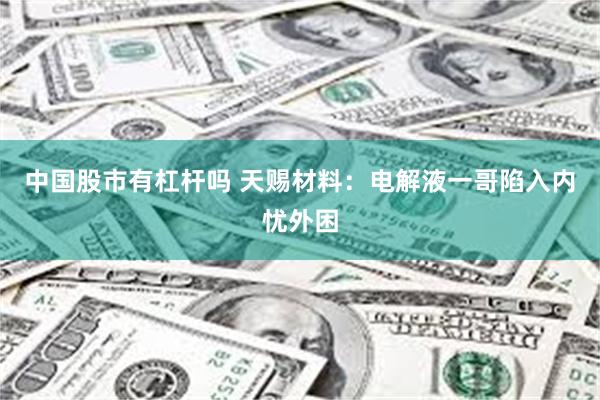 中国股市有杠杆吗 天赐材料：电解液一哥陷入内忧外困
