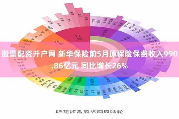 股票配资开户网 新华保险前5月原保险保费收入990.86亿元 同比增长26%