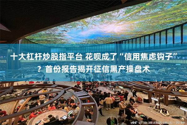 十大杠杆炒股指平台 花呗成了“信用焦虑钩子”？首份报告揭开征信黑产操盘术