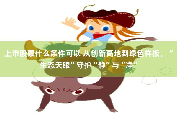 上市股票什么条件可以 从创新高地到绿色样板，“生态天眼”守护“静”与“净”