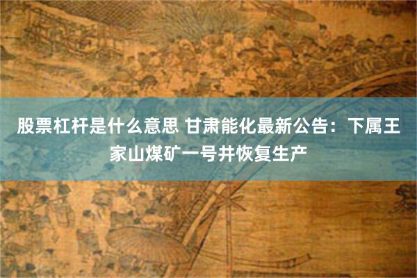 股票杠杆是什么意思 甘肃能化最新公告：下属王家山煤矿一号井恢复生产