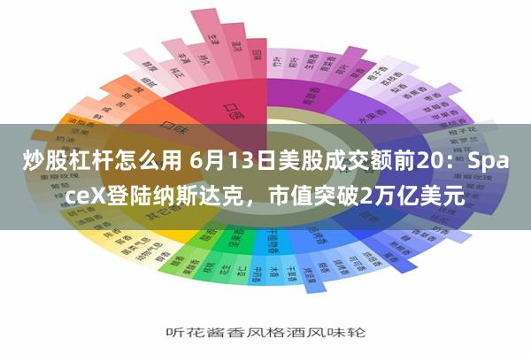 炒股杠杆怎么用 6月13日美股成交额前20：SpaceX登陆纳斯达克，市值突破2万亿美元