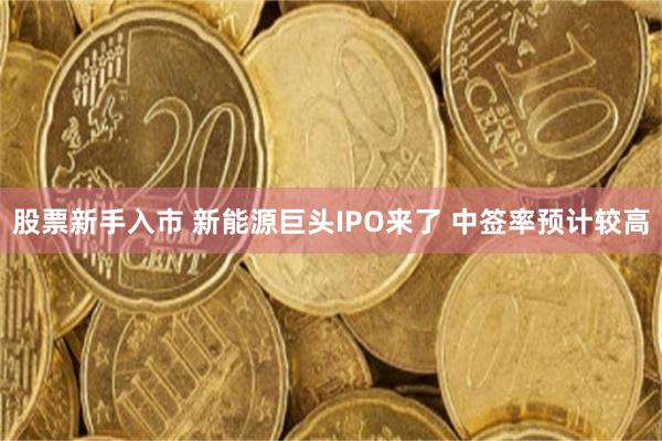 股票新手入市 新能源巨头IPO来了 中签率预计较高