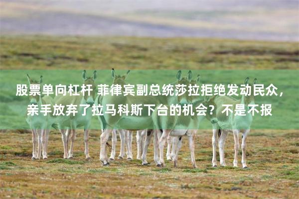 股票单向杠杆 菲律宾副总统莎拉拒绝发动民众，亲手放弃了拉马科斯下台的机会？不是不报