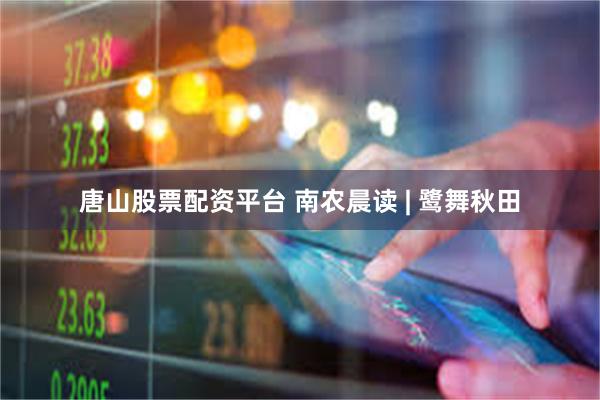 唐山股票配资平台 南农晨读 | 鹭舞秋田