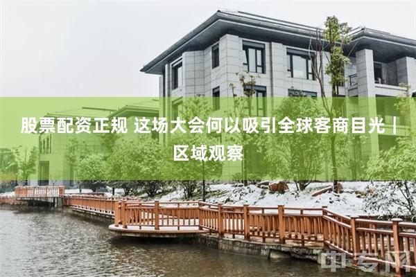 股票配资正规 这场大会何以吸引全球客商目光｜区域观察
