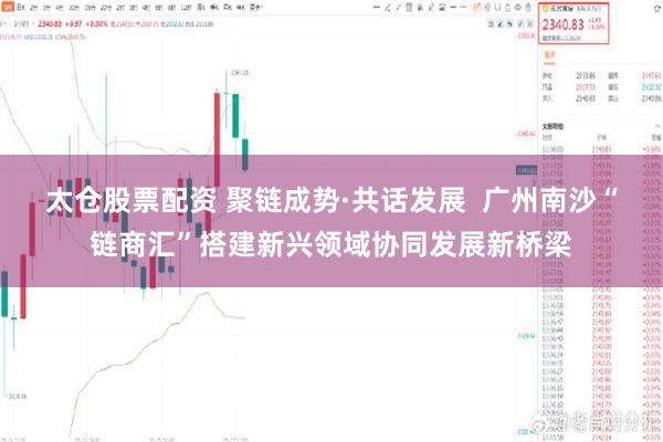 太仓股票配资 聚链成势·共话发展  广州南沙“链商汇”搭建新兴领域协同发展新桥梁
