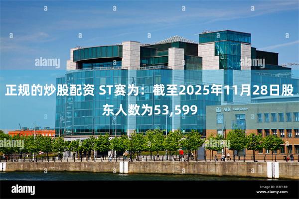 正规的炒股配资 ST赛为：截至2025年11月28日股东人数为53,599