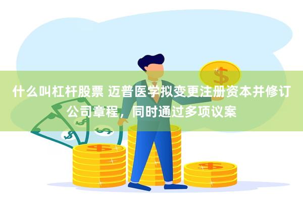 什么叫杠杆股票 迈普医学拟变更注册资本并修订公司章程，同时通过多项议案