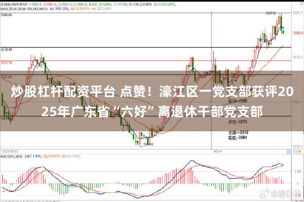 炒股杠杆配资平台 点赞！濠江区一党支部获评2025年广东省“六好”离退休干部党支部