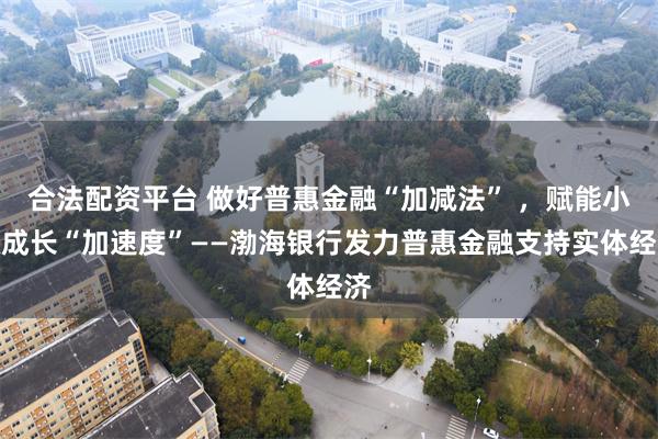 合法配资平台 做好普惠金融“加减法” ，赋能小微成长“加速度”——渤海银行发力普惠金融支持实体经济