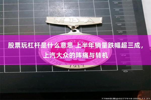 股票玩杠杆是什么意思 上半年销量跌幅超三成，上汽大众的阵痛与转机