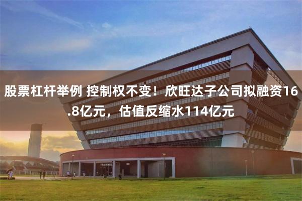 股票杠杆举例 控制权不变！欣旺达子公司拟融资16.8亿元，估值反缩水114亿元