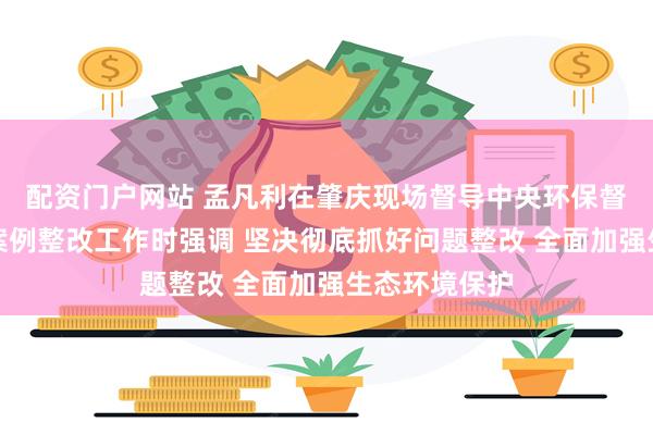 配资门户网站 孟凡利在肇庆现场督导中央环保督察通报典型案例整改工作时强调 坚决彻底抓好问题整改 全面加强生态环境保护