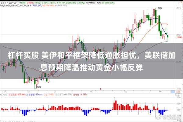 杠杆买股 美伊和平框架降低通胀担忧，美联储加息预期降温推动黄金小幅反弹