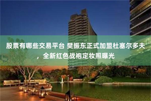 股票有哪些交易平台 樊振东正式加盟杜塞尔多夫,全新红色战袍定妆照曝光
