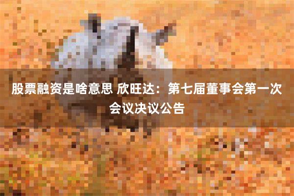 股票融资是啥意思 欣旺达：第七届董事会第一次会议决议公告