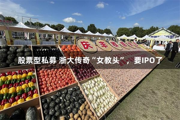股票型私募 浙大传奇“女教头”，要IPO了