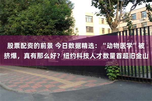 股票配资的前景 今日数据精选：“动物医学”被挤爆，真有那么好？纽约科技人才数量首超旧金山