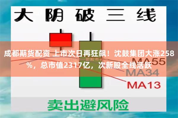 成都期货配资 上市次日再狂飙!沈鼓集团大涨258%,总市值2317亿,次新股全线活跃