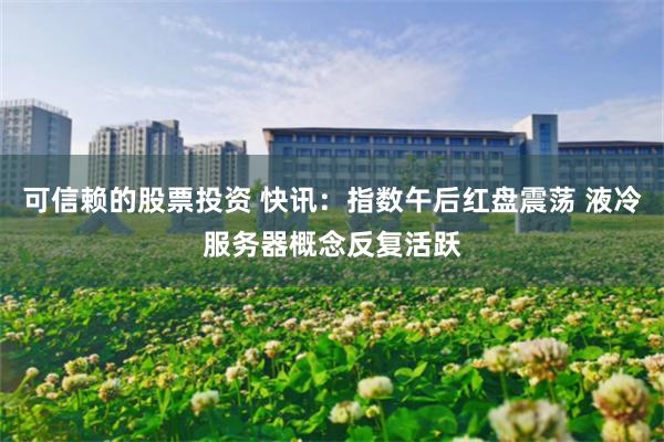 可信赖的股票投资 快讯:指数午后红盘震荡 液冷服务器概念反复活跃
