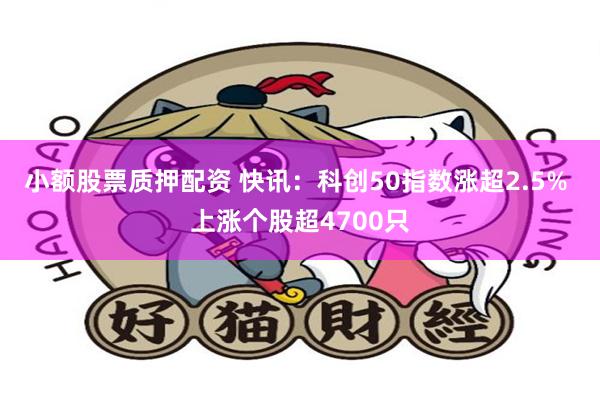 小额股票质押配资 快讯：科创50指数涨超2.5% 上涨个股超4700只