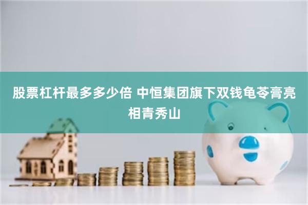 股票杠杆最多多少倍 中恒集团旗下双钱龟苓膏亮相青秀山
