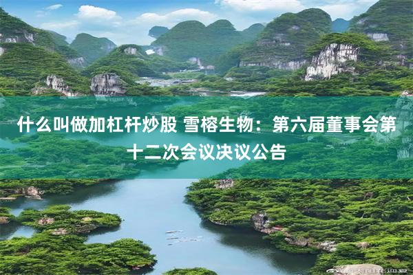 什么叫做加杠杆炒股 雪榕生物：第六届董事会第十二次会议决议公告