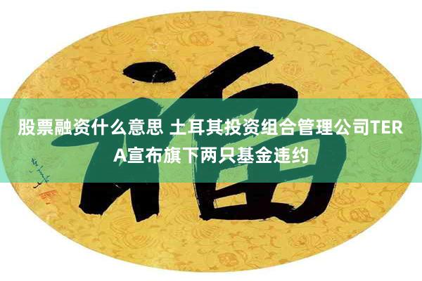 股票融资什么意思 土耳其投资组合管理公司TERA宣布旗下两只基金违约