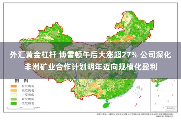 外汇黄金杠杆 博雷顿午后大涨超27% 公司深化非洲矿业合作计划明年迈向规模化盈利